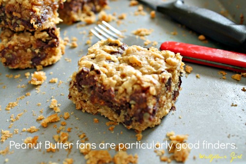 Peanut Butter Lovers' Chocolate Oat Squares 13--101313