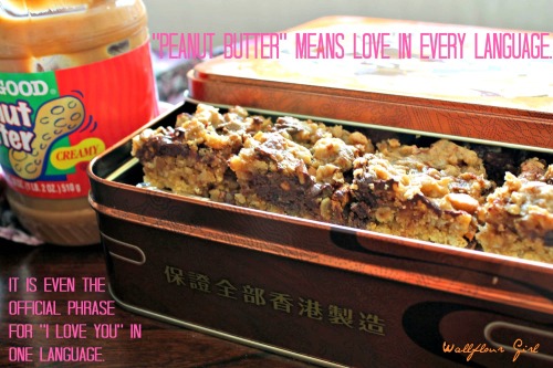Peanut Butter Lovers' Chocolate Oat Squares 18--101313
