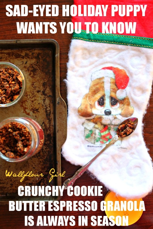 Crunchy Cookie Butter Espresso Granola 9--010614