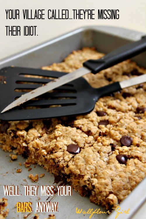 Idiot-Proof Healthy Chocolate Chip Oat Bars 14--012214