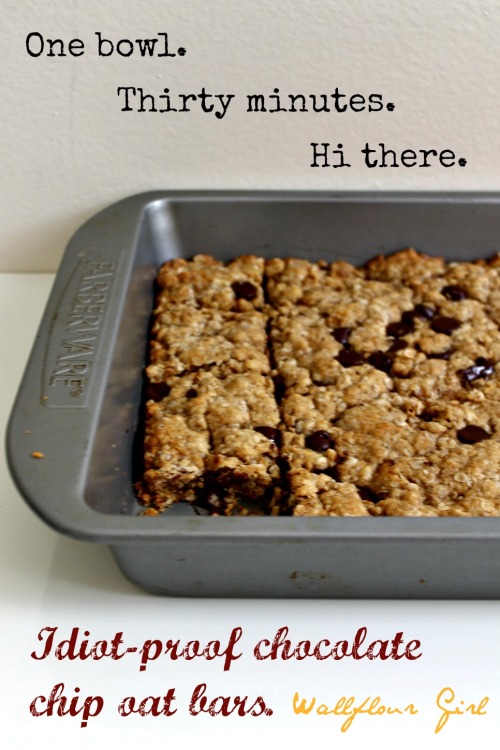 Idiot-Proof Healthy Chocolate Chip Oat Bars 19--012214