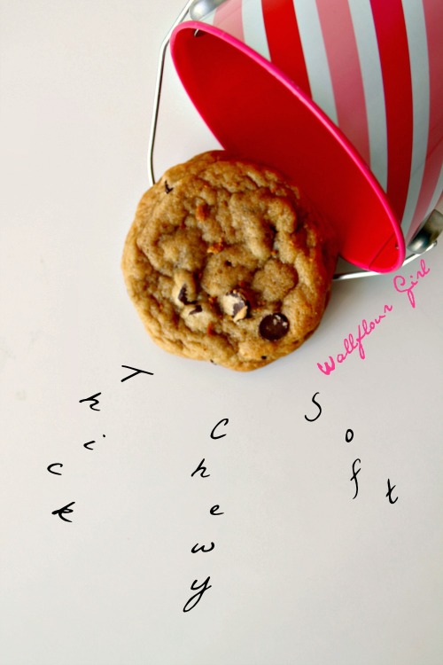 Favorite Thick and Chewy Chocolate Chip Cookies 19--021014