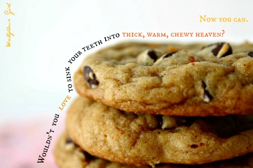 Favorite Thick and Chewy Chocolate Chip Cookies 21--021014