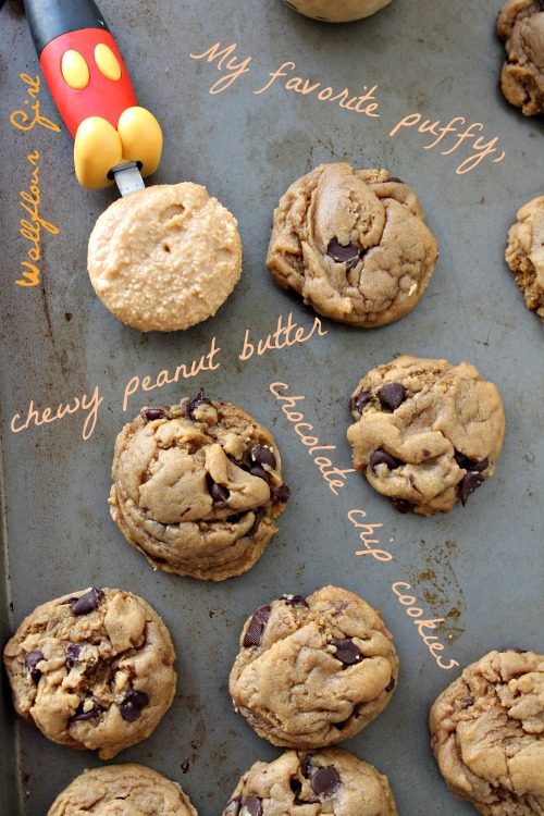 My Favorite Puffy, Chewy Peanut Butter Chocolate Chip Cookie 25--022114